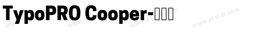 TypoPRO Cooper字体转换